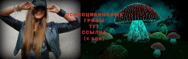2c-b Новозыбков