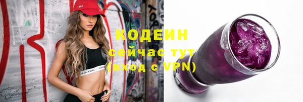 прущий лед Арсеньев