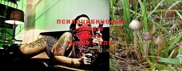 ALPHA-PVP Армянск