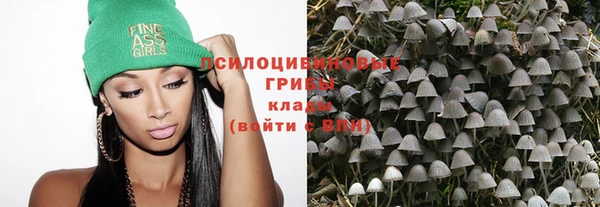 прущий лед Арсеньев