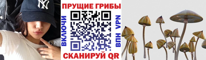 Галлюциногенные грибы Magic Shrooms  Соликамск 